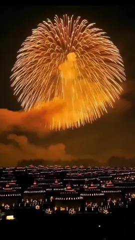 Biggest firework in the WORLD 🤯🎇 #firework #world #biggest #fyp #foryou #newyear #happynewyear #alexfunfacts 