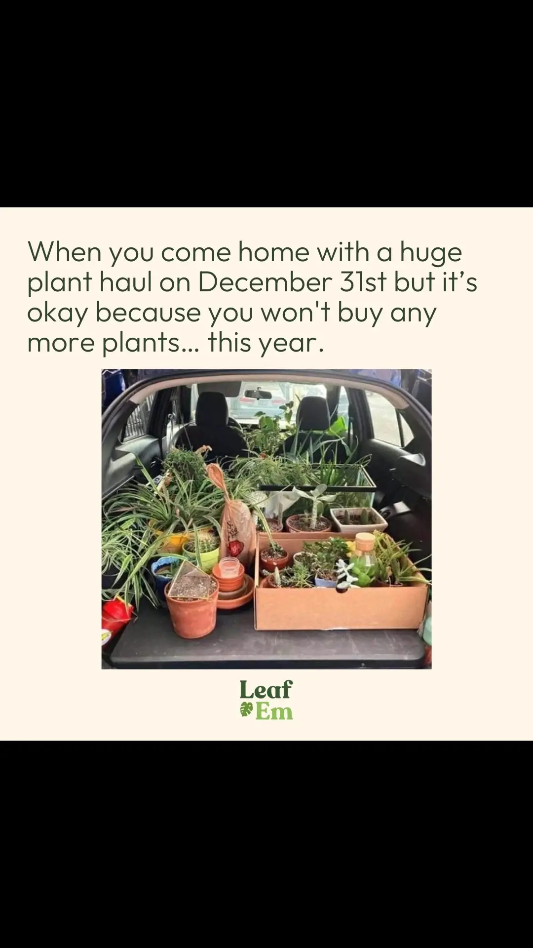 🚨Today is your LAST CHANCE to make 10% MORE your first three months as a Leaf’Em plant sitter! 📲With the Leaf’Em app, connect with other plant lovers in your area to: ✅Hire trustworthy plant sitters or ✅Make money caring for plants 🚨Complete the sign up process before January 1st, 2024, and make 10% MORE your first three months as a sitter!💰💰💰 📲Download now in the Apple or Google Play Stores to join. and look out for the official app launch coming in 2024, when plant parents will be able to sign up and start hiring sitters! 💡The Leaf’Em beta app is continuously being improved + updated. Feedback or questions? We’d love to hear from you to help make Leaf’Em the best it can be! Reach out through socials or email us at [email&#160;protected]. #newyears #newyear2023 #plantmeme #planthumor #plantjoke #plantjokes #plantlover #plantparent