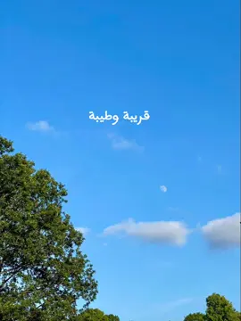 ومليش غير الا فيها ✨ #viral #fypシ #foryoupage #تيك_توك #حالات_واتس #اكسبلور #عمرو_دياب #amrdiab 