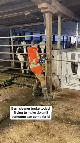 Of course on a Sunday the barn cleaner breaks.  Trying to make it work until they can fix it on Tuesday. #the_beef_boys #newyearseve #family #farm #farmlife #farming #dairyfarming #barncleaner #barnlife #happynewyear #fyp #supportfarmers #canada #LearnOnTikTok