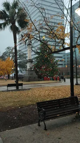 Christmas #followback #columbia #usa #coloumbia #america 