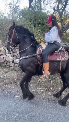 #caballosbailadores #mujerdeacaballo🐎💓💓 #fiestarancho🤠 #horses #cowgirls 
