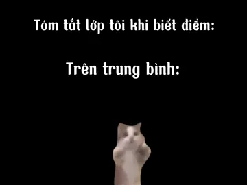 Còn mấy bẹn seo#xh #điểmthi #lớphọcvuinhộn #vuivẻ #meme #cat #catmemes #funnyvideos #classmates 