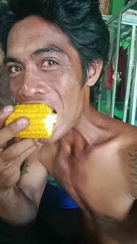 orang ompong makan jagung