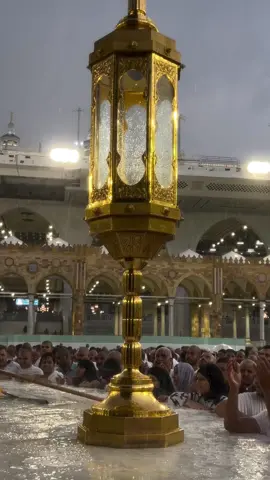 Subhanallah ❤️