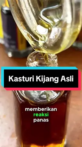 Bisa langsung cek out dikeranjang kuning ya! Stock terbatas ! —————————- Garansi Berlaku untuk produk ini. —————————— #kasturikijangasli #kasturikijangoriginal #parfumereccomended #parfumnonalkohol #parfumtahanlama #parfumarab #parfumsholat 