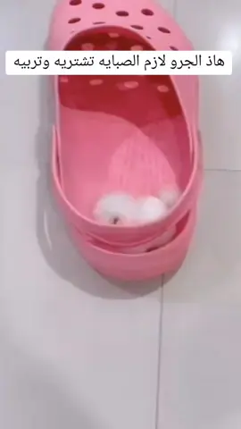 كلب صغير كيوت#tiktok #dogs #dog #dogsoftiktok #كلاب #الكلاب #حيوانات @movie @movie 