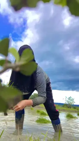 #fypシ #CapCut JANGAN pernah malu jadi anak PETANI, karena tanpa petani PEJABAT pun tidak bisa MAKAN, MARI buang GENGSI🌝