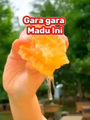 gara gara madu ini keluhanmu berangsur membaik