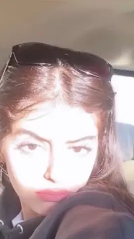 #فهد_بن_سعيد #فريج_الهرشاني #اكسبلورexplore #fypシ #tiktok #viral 
