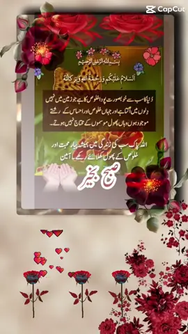 #ameen🤲 #dua🤲 #duet #pageforyou_🔥trending❤️video💯 #unfrezzmyaccount #pageforyou_🇵🇰🇺🇸 