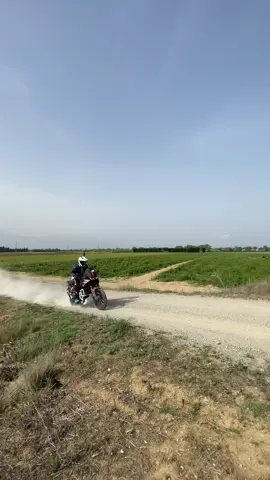 Africa Twin automatica en modo ✈️😳  #africantwin #moto 