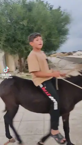 #البيضاء_الجبل_الاخضر #الشعب_الصيني_ماله_حل😂😂 