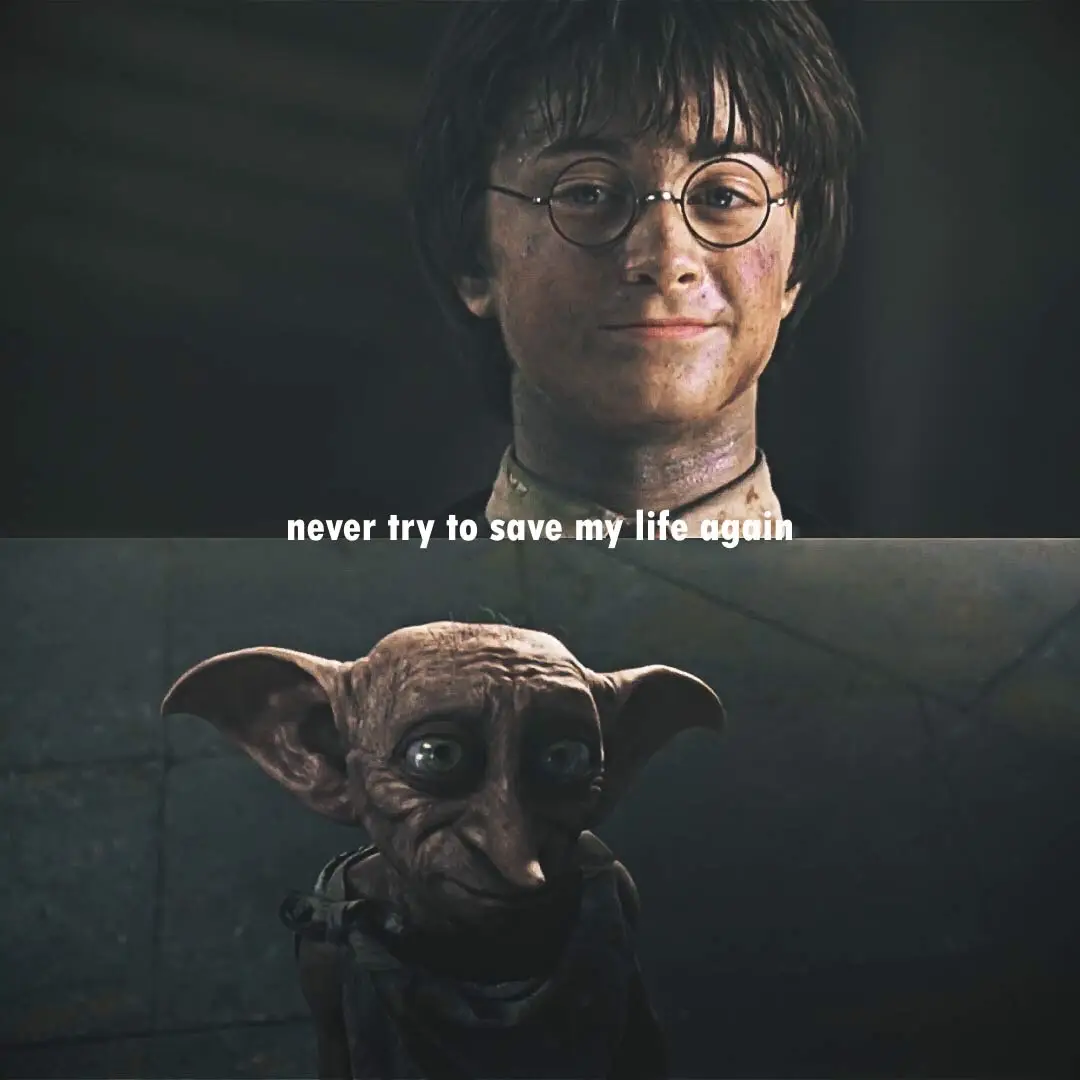 “Dobby, saved Harry Potter and her friends …”🥹 #harrypotter 