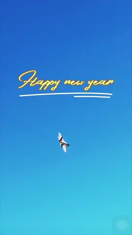 Happy new year-2024…#f35lightning #happynewyear2024 #americantiktok🇺🇸 #usa🇺🇸 #militaryusa🇺🇸 #fyp 