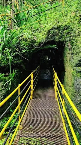 Ouro Preto. Minas do Palácio Velho. Ponto turístico  na cidade histórica,  um dos locais importantes da região que remonta ao ciclo do ouro no Estado de Minas Gerais, um dos inúmeros Sítios histórico arqueológicos da mineração do ouro no século XVIII...  #ouropreto #lugarmagico  #lugarparadisiaco #tictok #paradisiaco 