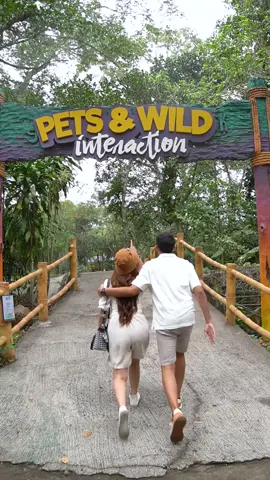 Hai Sahabat Satwa 👋🏻 Mana nih tempat favoritmu di Baby Zoo? #TheGrandTamanSafariPrigen #DiscoverMagicalJungle #letsgosafari #newyearseve 