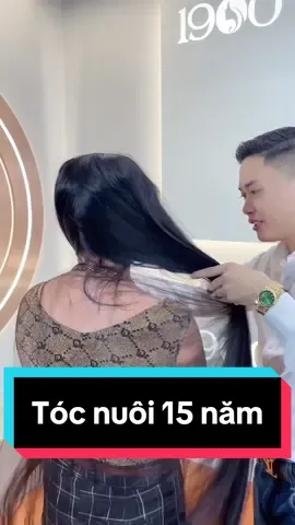 Tóc nuôi 15 năm trông sẽ thế nào? #hiếntóc #hientoc #theanh28 #goclamdep #BeautyTok #LearnOnTikTok 