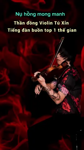 Đến rất nhiều Liveshow Tú Xỉn Violin, chứng kiến rất nhiều khán giả đã khóc, mỗi khi Thần đồng Violin Tú Xỉn kéo những bản nhạc buồn. #tuxin #anhtuviolin #nuhongmongmanh #violin #violinist #violincover