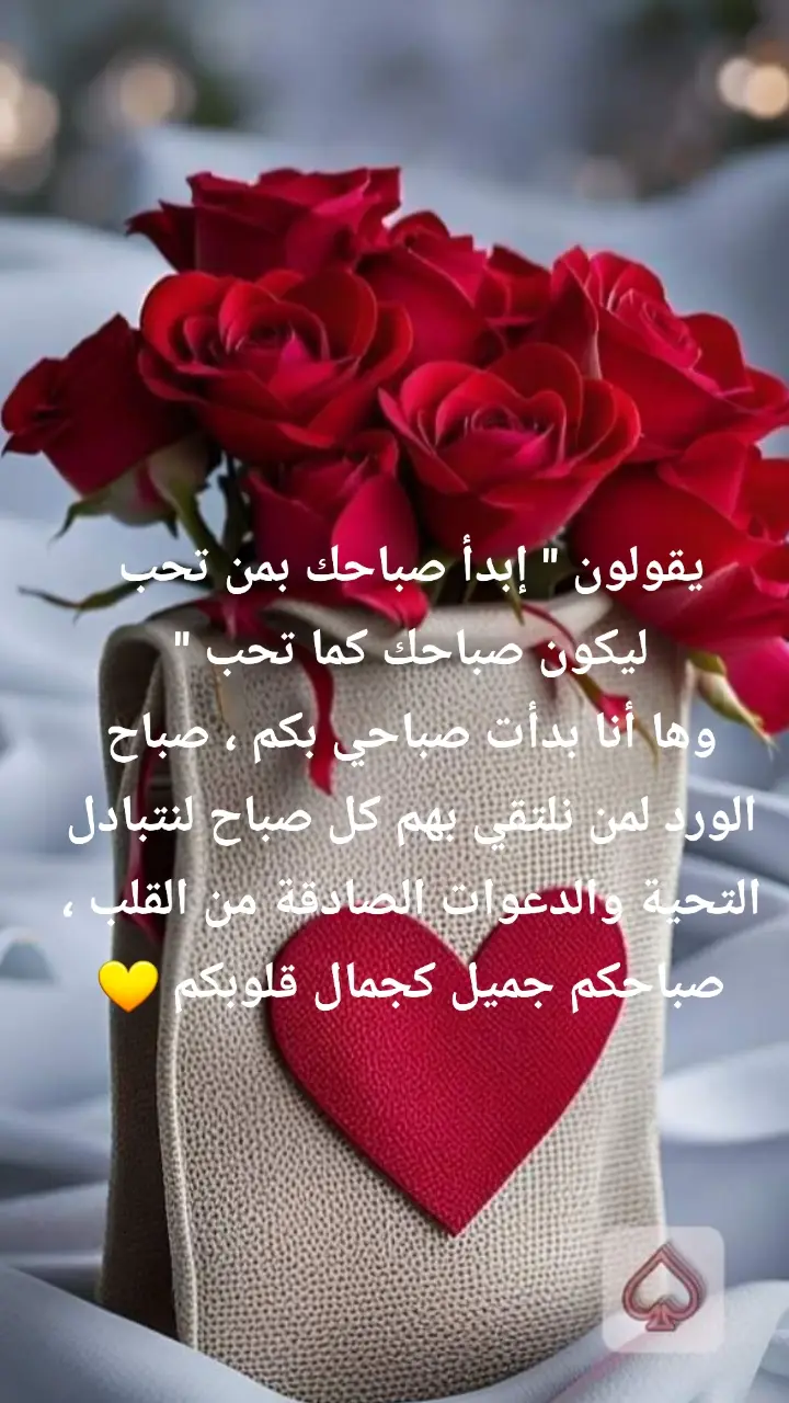 #بونجورات 