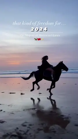 That kind of freedom needed for 2024 ✈️❤️‍🔥 Happy New Year & wishing you all the best for 2024 - make your dreams come true - ✨🫶💫 📍Essaouira, Maroc 🐎🌊☀️ #happynewyear #bonneannee #freedom #freedom2024 #paris2024olympics 