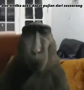 mana nih azka #pempekbelah 