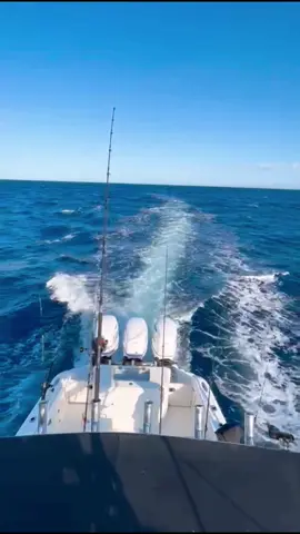 Angry sea... We continue looking for our catch but without losing respect for the sea... #finhunters #finhuntersgear #stellar38 #contender #contenderboats #centerconsole #tuna #tunafishing #currican #pescaalcurrican #fishing #fishinglife #valencia #viral #parati #foryou 