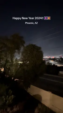 Phoenix went off this new years 🎆🎇#newyears #2024 #fireworks
