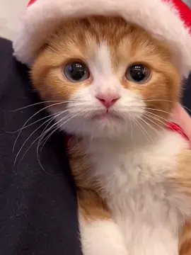 🥰