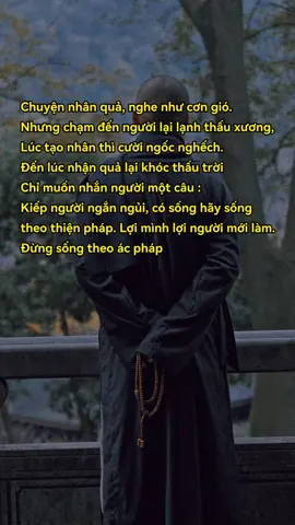 Chuyện nhân quả. Nghe như cơn gió#phatphapnhiemmau #phatgiaovietnam #nammoadidaphat🙏🙏🙏 