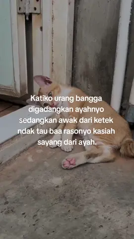 🥺🥺#qoutesminang #kutipanminang #fyp 
