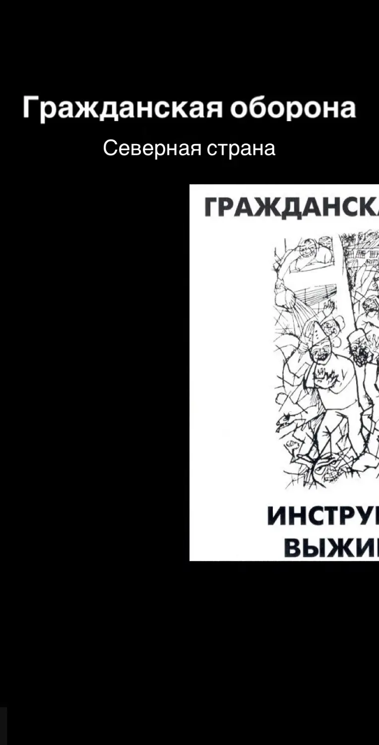 #рек #гражданскаяоборона #егорлетов #гроб #инструкцияповыживанию #севернаястрана 