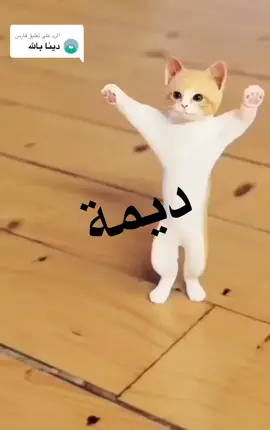 الرد على @فارس حسب الطلب — ديمة 🥰🥰#viral #viralvideo #netflix 