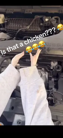 Is that a chicken? 😂😂😂#viral #fyp #fypシ #fypage #fypシ゚viral 