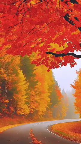 Scenery#scenery #beautifull 