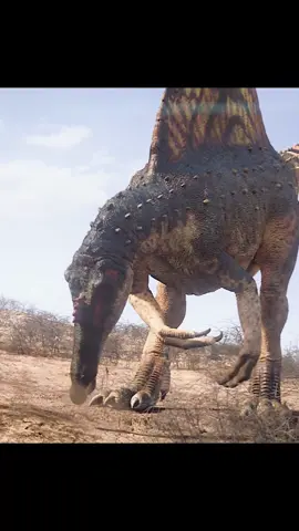 #animal #dinosaur #prehistoric #tiktok 