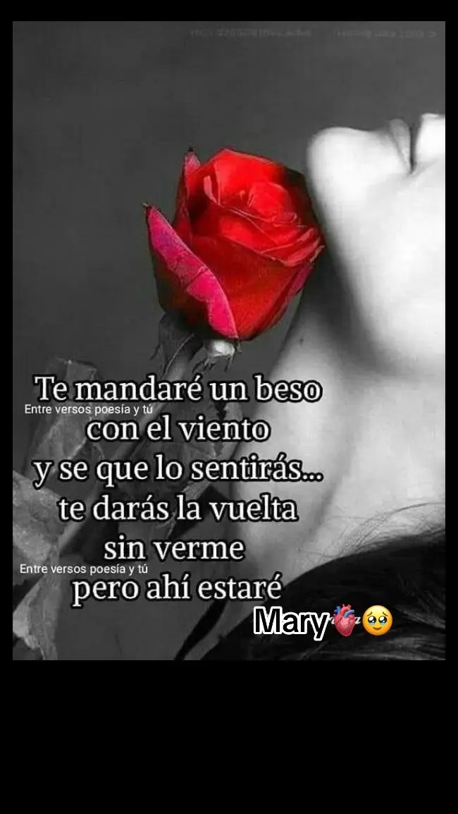 #marymendoza🌻❤️ #paratytiktok🍀 #fypシ゚viral #industriadelamor🥰🎶🤞favoritas 