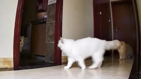 😳
