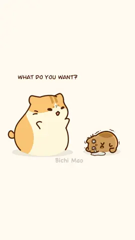 Little Mao wants chocolate...🍫 Audio credits to: portia_the_frenchie on IG #sembangentertainment #catsoftiktok #cuteanimation #funny #cutecats
