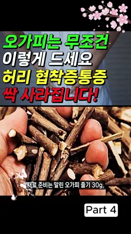 오가피는 무조건 이렇게 드세요! 허리 협착증통증 싹 사라집니다! 허리 협착증통증 디스크통증에 좋은 음식 p4