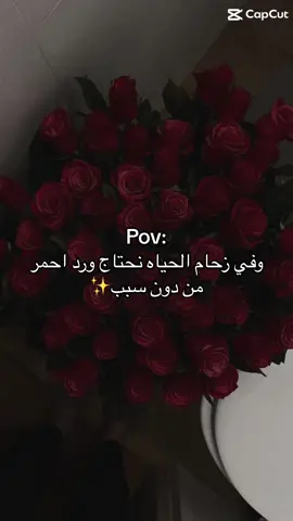 #CapCut #اكسبلورexplore #رياكشن #رياكشنات #اكسبلوررررر #foryoupage #foryou #اكسبلورر #pov #tiktok #explorepage✨ #fypシ #viral #explore 