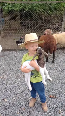Como ama essa Bebê Cabra e pelo jeito ela também ama o campeiro 🥰🙏🏻❤️😍😍