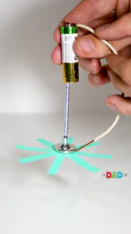 Turn your curiosity into a cool experiment! We’re transforming a battery and some magnets into an awesome electromagnetic motor. It’s simple, it’s fun, and it's totally mind-blowing! ⭕ MATERIALS: - AA battery - Neodymium magnets - Copper wire - Flower-shaped paper piece - Screw ⭕ INSTRUCTIONS: (1) Fix the flower-shaped paper between two magnets. (2) Place the screw on top. (3) Touch the opposite side of the screw with AA battery. Magnets will hold the construction together. (4) Use the copper wire to connect the top of the battery with neodymium magnets and watch the flower spin mesmerizingly! ⭕ SCIENCE EXPLAINED: This experiment demonstrates the principles of electromagnetism. The electric current from the battery, flowing through the copper coil, creates a magnetic field. This field interacts with the neodymium magnets, causing the screw to rotate. The flower paper adds a visual delight, showcasing the motor's movement #TheDadLab #scienceexperiment #scienceiscool 