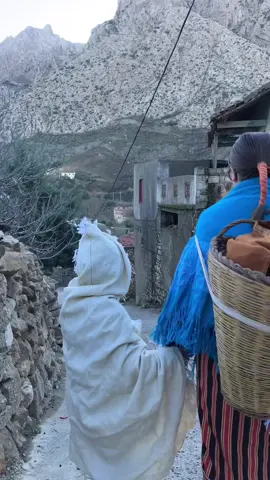 L’authentique et l’authenticité de la cueillette des olives avec @nabiila_belaidi et ses proches : Aleqad n uzemmur 😍  #cueuillette #olives #uzemmur #tiziouzou #bejaia #bouira #kabylie #kabyle #alger #algerie #algerienne #kabyle #culturartkabyle #art #culture #patrimoine #nature #naturelovers #naturelover #natural 