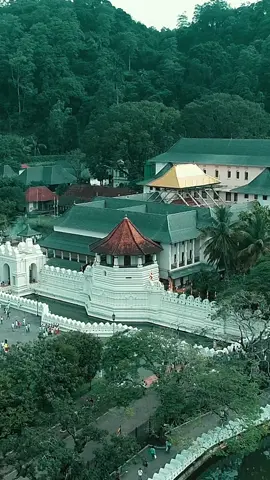 ලොවක් සනහන - හිත් නිවූ පින්බිම. නව වසරට ආයුබෝවන් 2024 #SriDaladaMaligawa #SriLanka #templeoftooth #Kandy #fyp #foryou #templeofthetooth 
