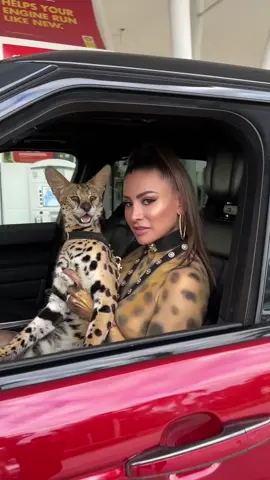 Afternoon out with my cat! #animalsoftiktok 