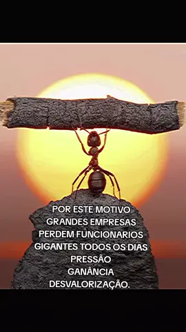 FORMIGA DESMOTIVADA #desvalorizacaoprofissiona l #trabalhoruim  #formigamotivada  #reflexao