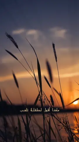 يدك الصغيرة طفلة هربـت ماذا أقول لطفلـة تلعـب أنـا سـاهر و معي يد إمرأة بيضـاء هل أشهى و هل أطيب تلك الجميلـة كيف أقنعهـا إني بها معجب معجب بهـا معجـب  يدك  . . . #تلك_الجميلة_كيف_أرفضها  #كاظم_الساهر #كاظم_الساهر_يدك  #نزار_قباني #فتح_الله_احمد #يدك #يدك_التي_حطت_على_كتفي #القيصر #القيصر_كاظم_الساهر #بغداد #العراق  #الشمس_نائمة_على_كتفي #نزاريات 