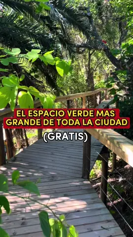 EL ESPACIO VERDE MAS GRANDE TODA LA CIUDAD: LA RESERVA ECOLOGICA COSTANERA SUR🌳 ubicada en Puerto Madero este espacio nos invita a pasear entre la naturaleza, tomar mates frente al rio y disfrutar unas vistas hermosas🍃 - cuenta con 350 hectáreas llenas de paz y miradores para buenas fotos y avistaje de aves🐥 - en lo personal quiero recalcar la importancia de la PRESERVACIÓN de la fauna y flora y evitar seguir modificando el lugar para fines  recreativos/comerciales o demas. Es una reserva y hay que respetarla como tal y como asi también las respectivas indicaciones que hayan🦋 - ❤️RECOMENDACIONES:  llevar OFF y calzado comodo para disfrutar a pleno 💸ENTRADA GRATUITA ⏰Horario de Verano (Nov a Mar): Mar a Dom de 8 a 19hs. Cierra por lluvias. En su página de FB dan aviso cuando no abren, fijense antes de ir. ‼️Ingreso por el acceso extremo Norte por Viamonte y extremo Sur por Brasil). 📍Av Dr Tristn Achaval Rodriguez 1550, CABA🇦🇷 #reservanatural #reservacostanerasur #puertomaderobuenosaires ##turismoenbuenosaires##turismo##lugaresparavisitar##argentina##visualpoetry##buenosaires##dondeir##quevisitar##momentodeldia##capturethemoment##randomplaces##conoceconmigo##turista##camaraturista##turismobuenosairesok##buenosaires/ ##buenosairestravel##buenosairescity##buenosairesarg##lugaresgratis##museosdebuenosaires##palermobuenosaires##rinconesdebuenosaires##conoceargentina° ##museodeaguascorrientes##recoleta##captured##caminaconmigo###aestheticbuenosaires #buenosairesarg