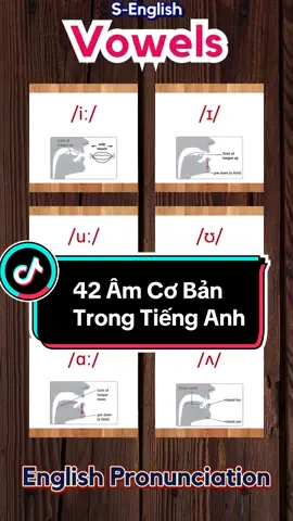 English Pronunciation. IPA. #SEnglish #englishpronunciation #LearnOnTikTok #IPA 